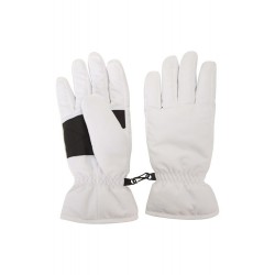 Ski & Mittens Gloves