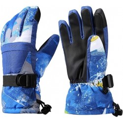 Ski & Mittens Gloves