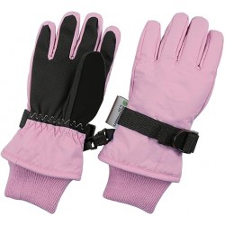 Ski & Mittens Gloves